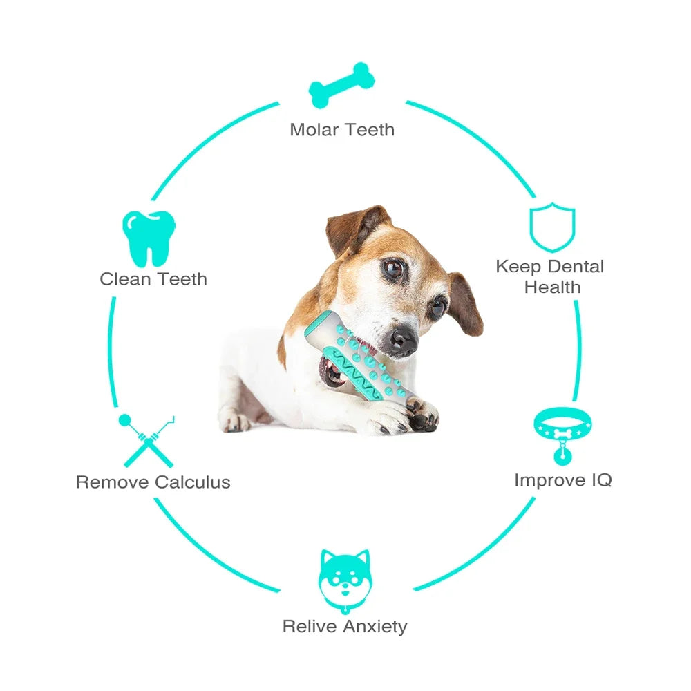 Dog Dental Chew Toys For Teeth Cleaning Puppy Teething Sticks & Chewable Bone Toothbrush Pet Teeth Cleaning Training Toy