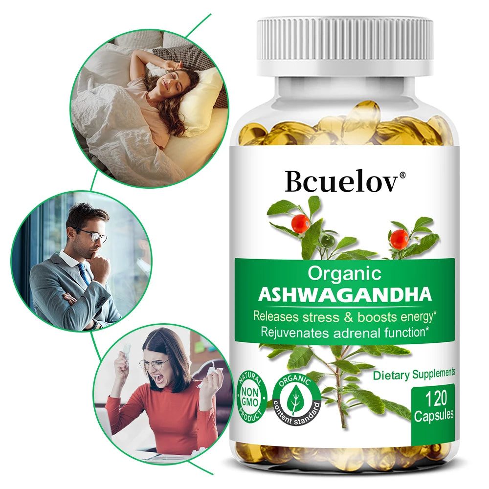 Ashwagandha Capsules – Stress Relief, Deep Sleep, Calm Nerves, Brain Health, Focus & Immune Support, Natural Herbal Supplement